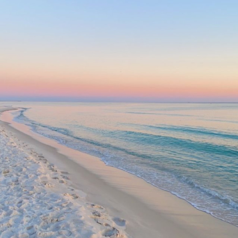 Meet your Posher, Stella